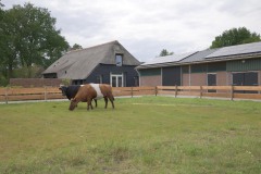 Drents-Moment48